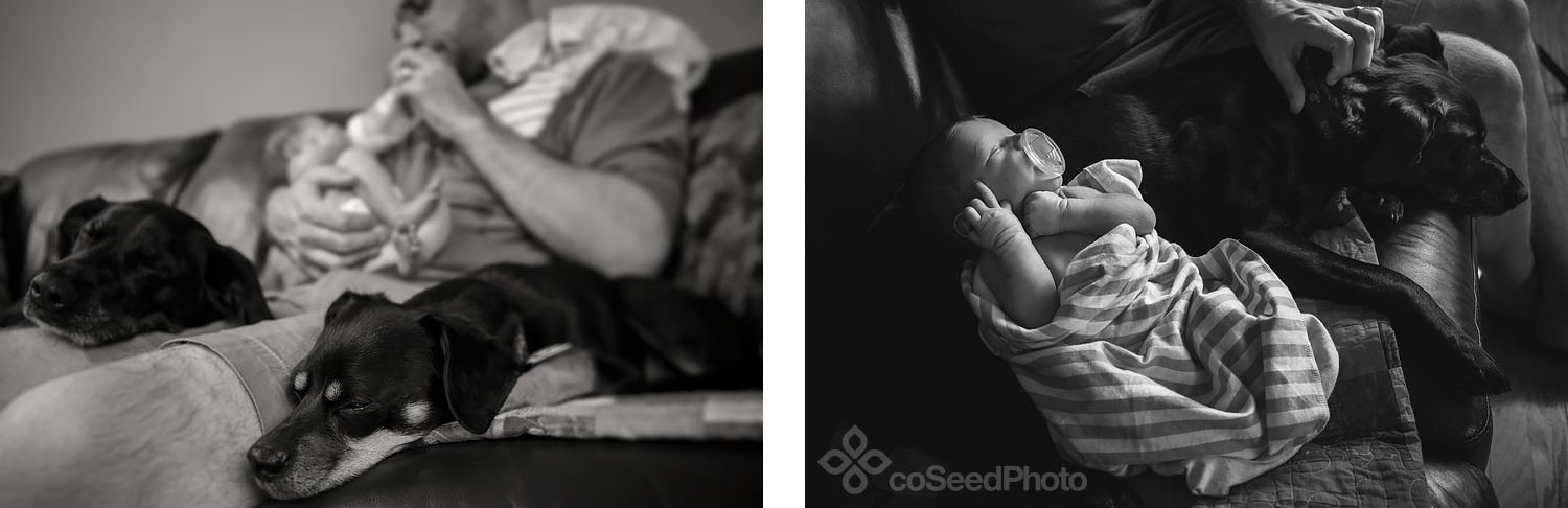 Dad feeding newborn Declan between their two dogs on the couch.