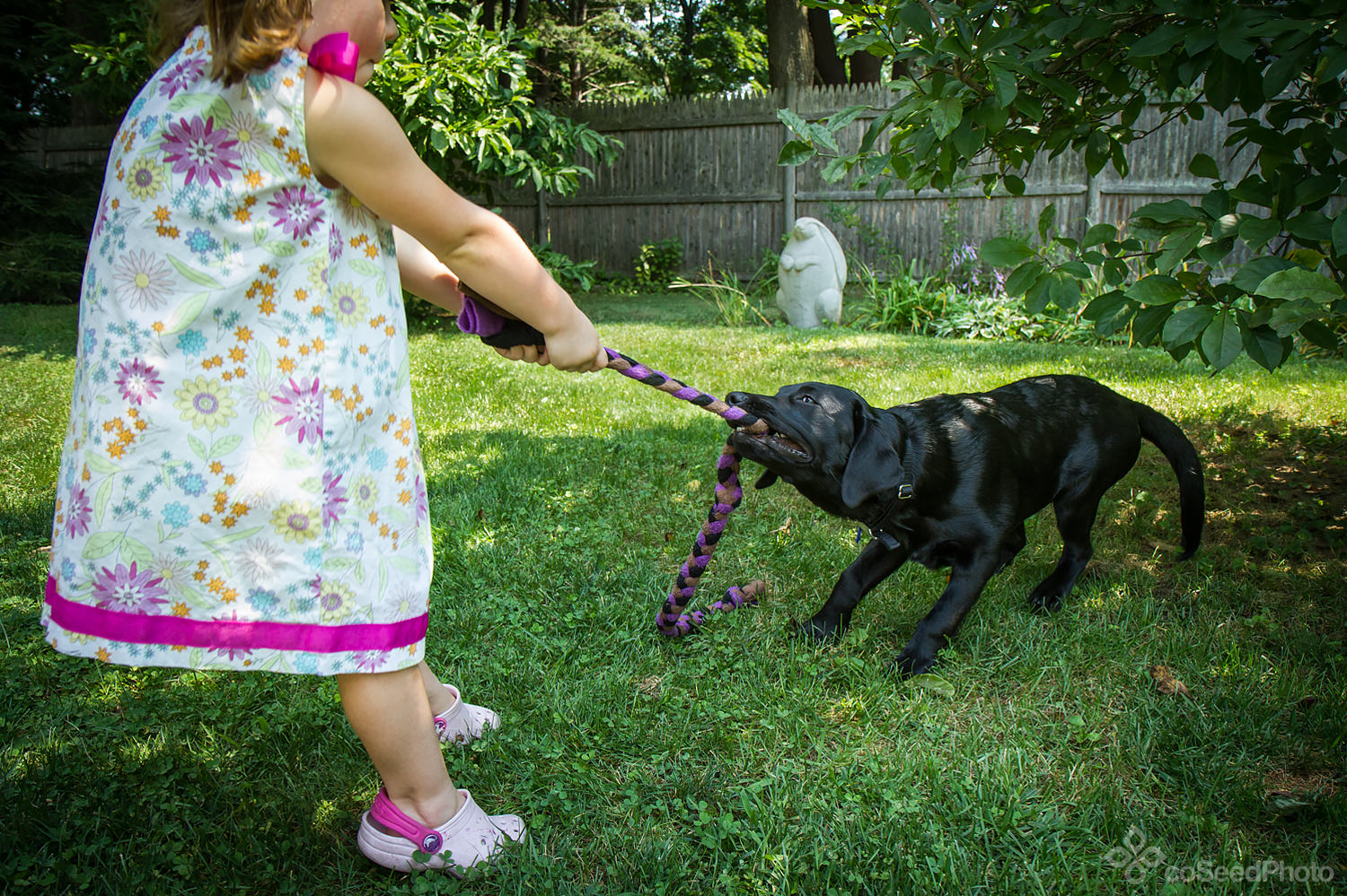 Elise and pup Wichita play tug of war.