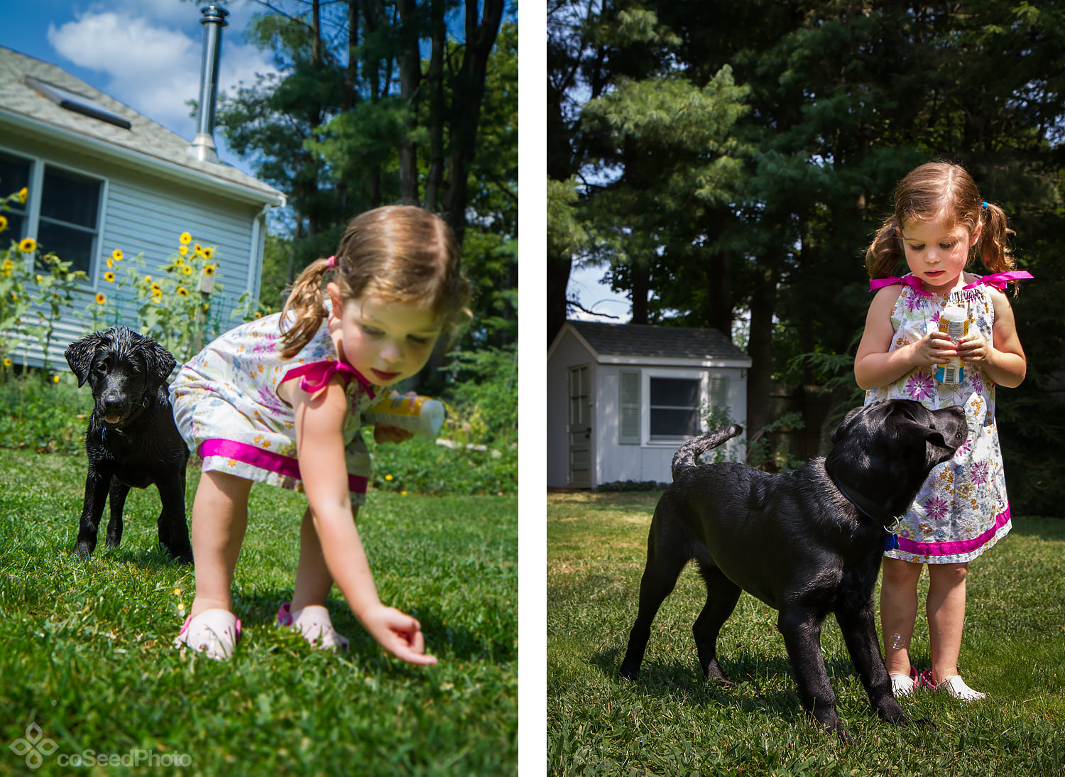 Elise reaches to pick up a bubble while Wichita watches closely from behind.