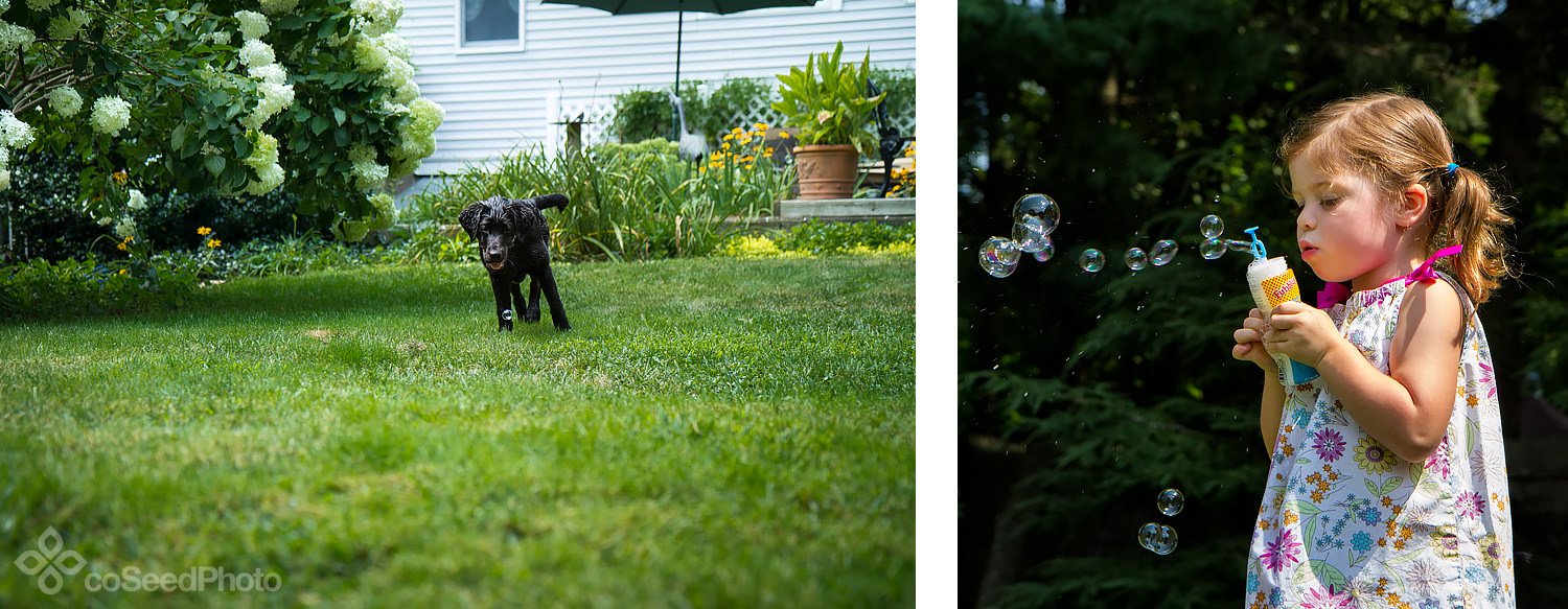 Wichita stalks a bubble while Elise blows some more.