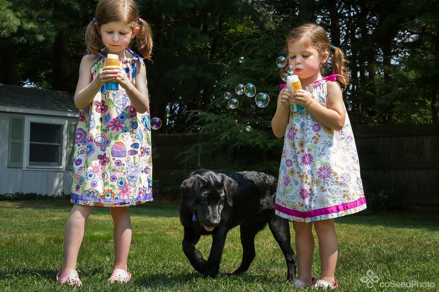 Lola and Elise blow bubbles while pup Wichita circles.