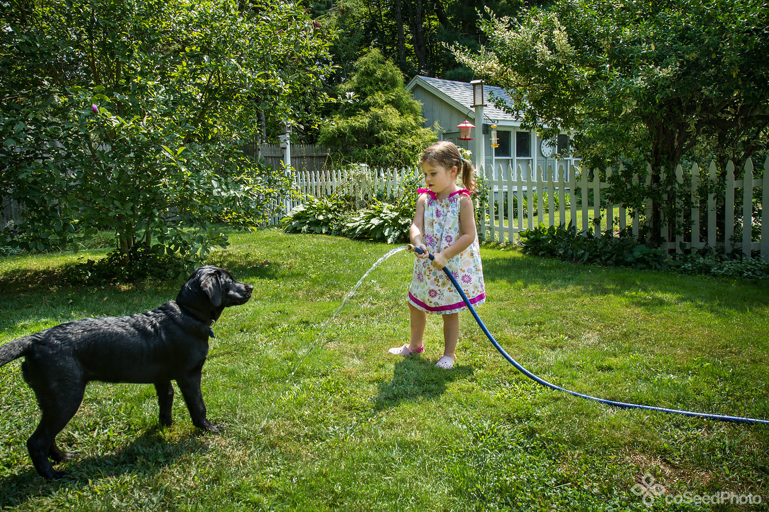 Elise taunts pup Wichita with the hose.