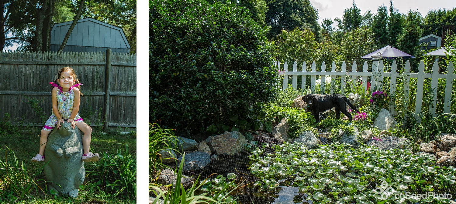 Pup Wichita explores the goldfish pond.