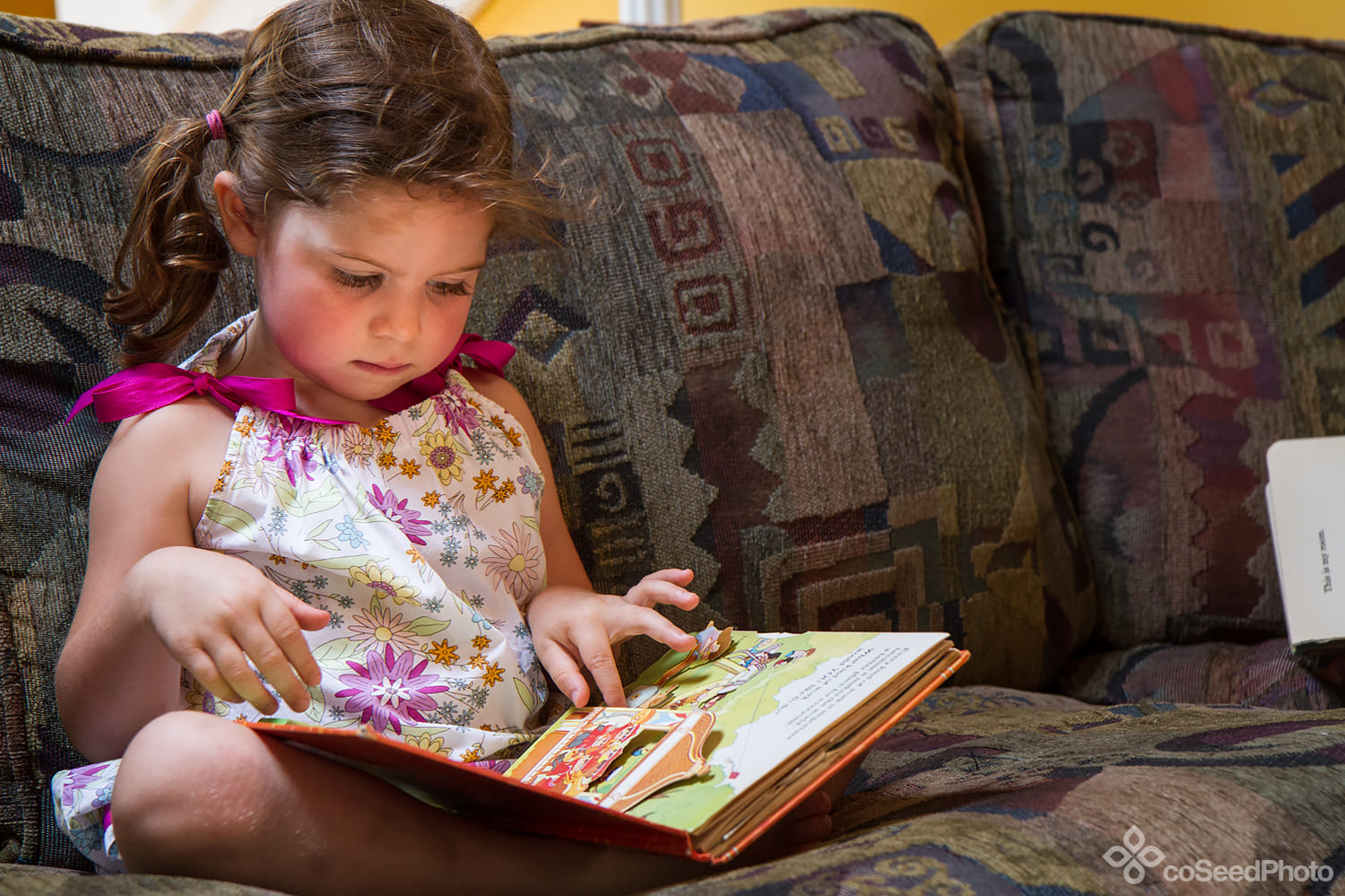 Elise reads a book on the couch.