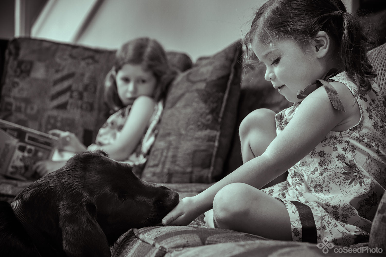 Pup Wichita kisses Elise's hand on the couch.
