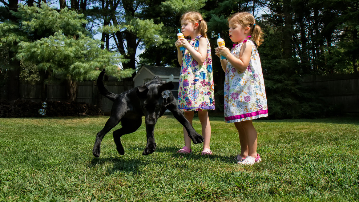 Pup Wichita leaps in the air to catch a bubble.