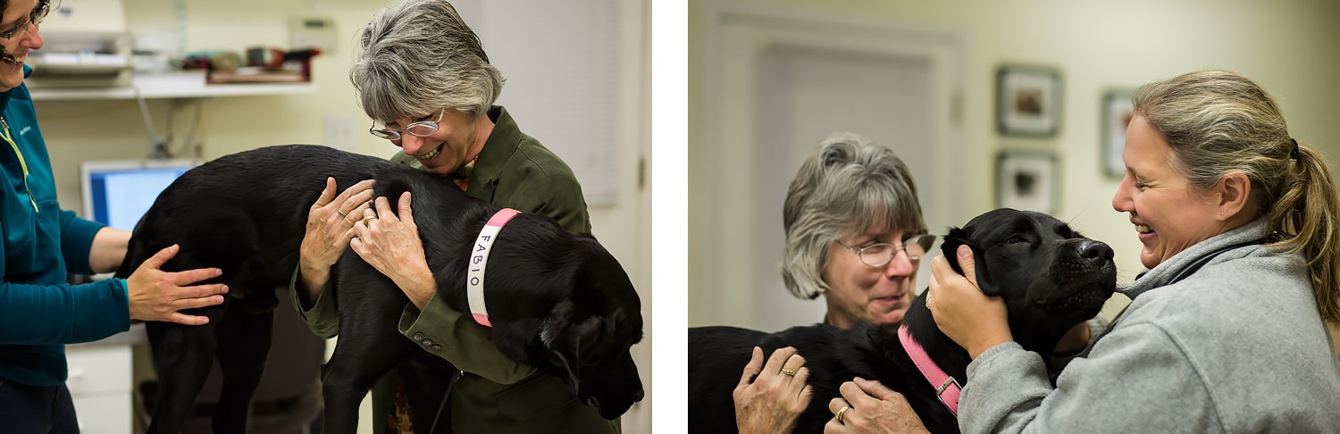 Guiding Eyes dog gets ear exam.
