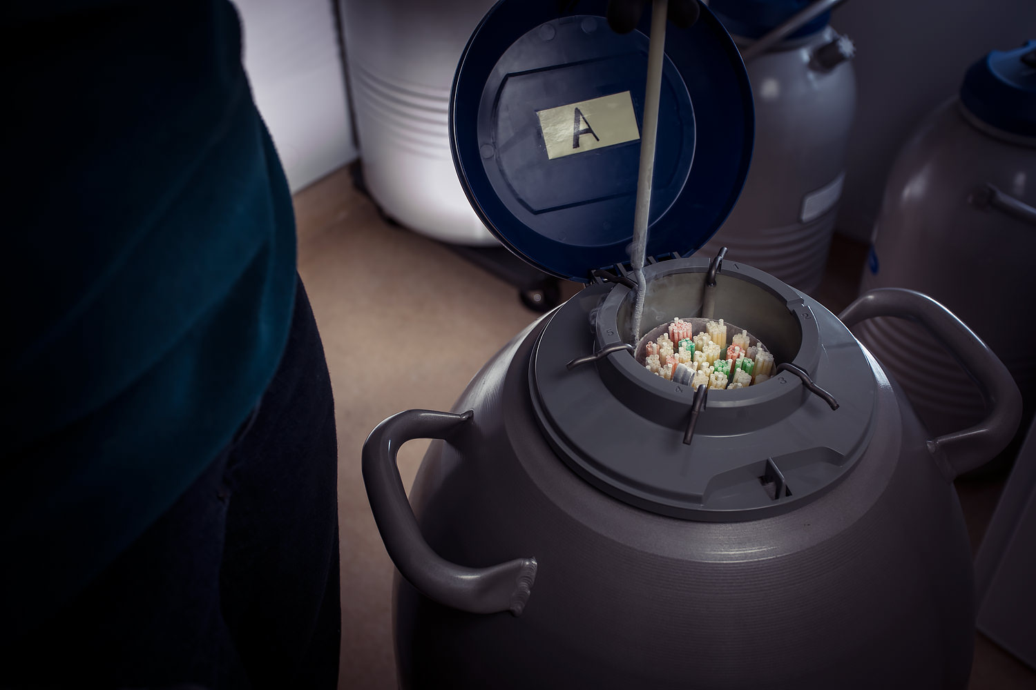 Guiding Eyes liquid nitrogen cryogenic tank with semen pipettes.