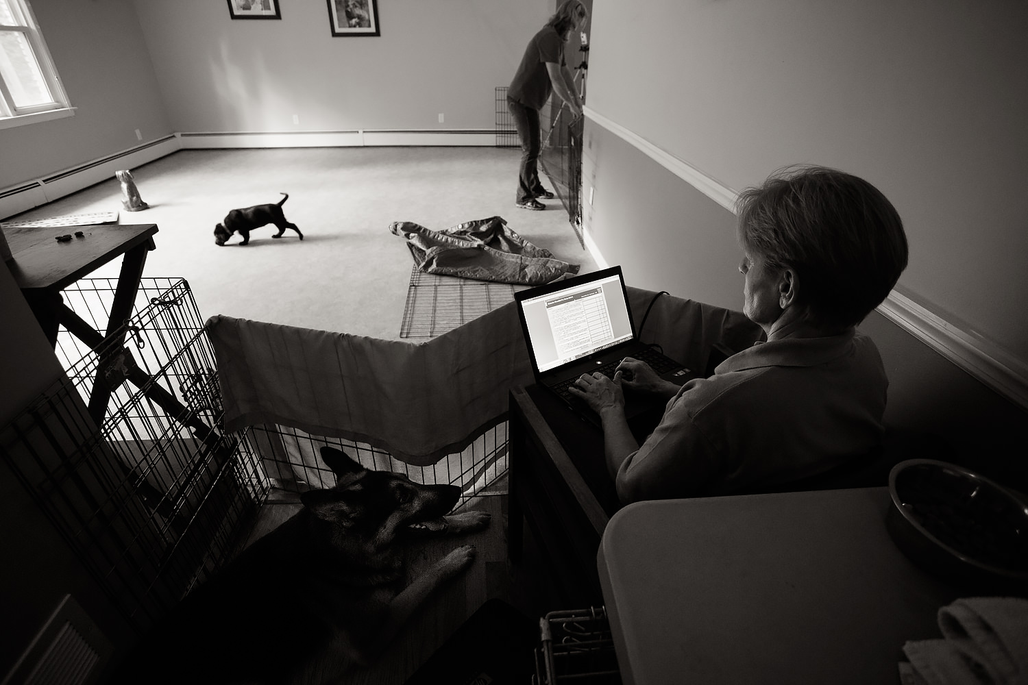 Guiding Eyes staff oversees Pup Test with black lab pup in background.