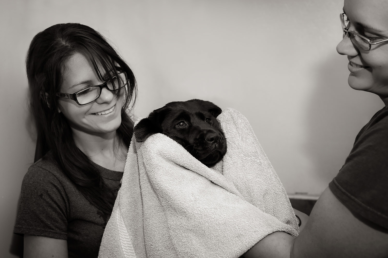Guiding Eyes pup in a towel gets dried off by two kennel techs.