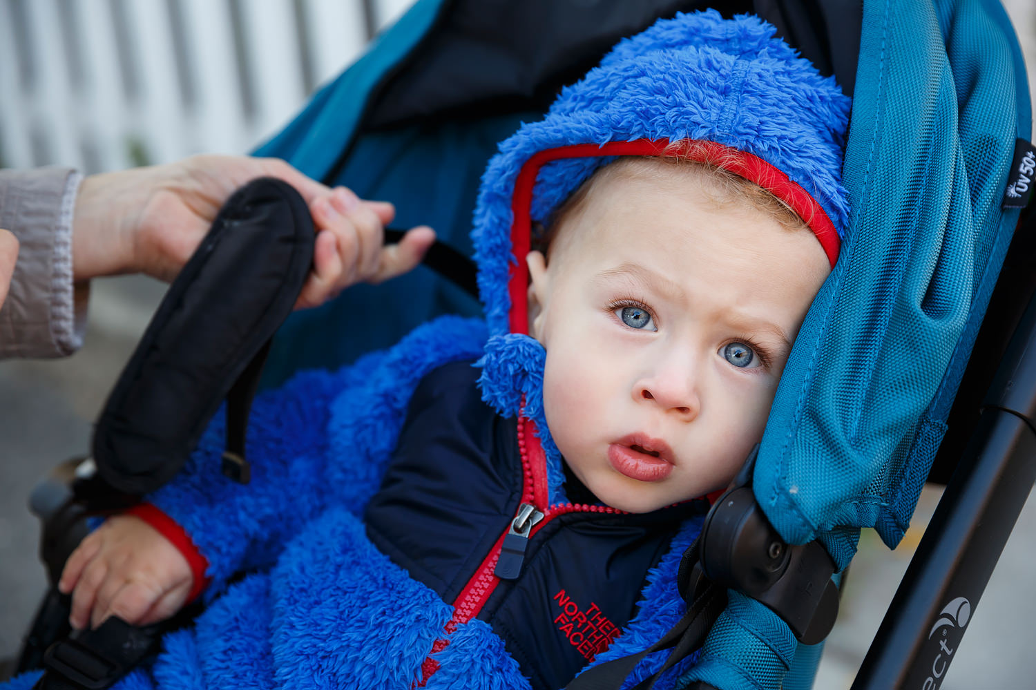 bp-coseedphoto-mateo-fall-2015-030